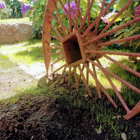 Homestay En Casa De Campo Rural